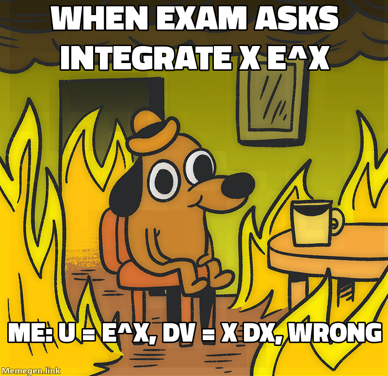 integration by parts technique meme about Explain integration by parts with a worked example